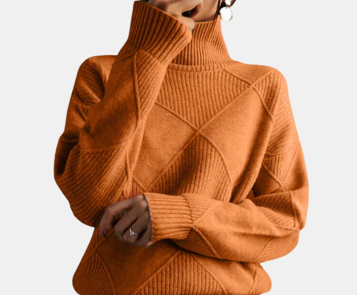 Seravelle | Pull Col Roulé Douillet
